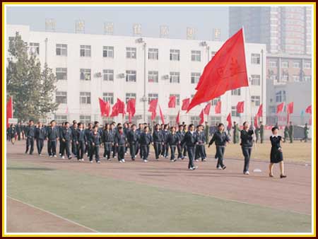 1498196784547794.jpg 7.jpg